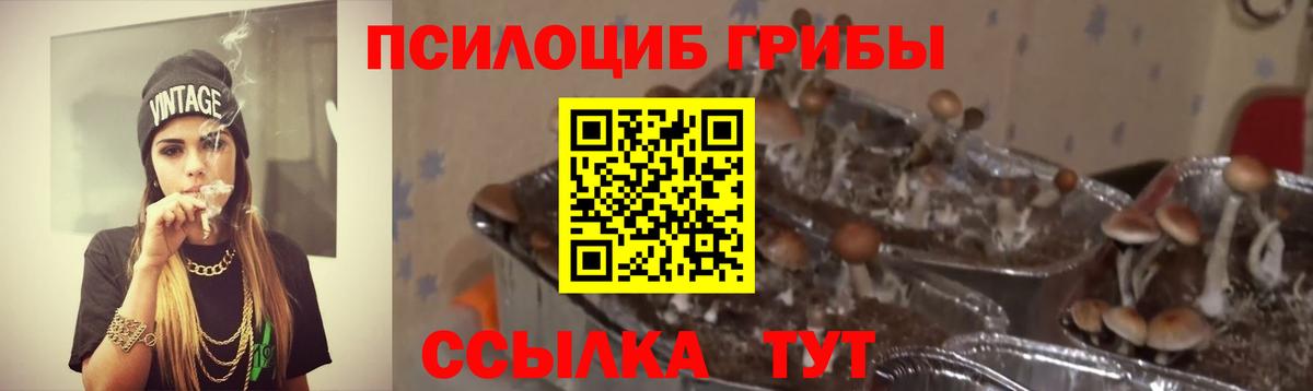 Чусовой  Псилоцибиновые грибы GOLDEN TEACHER  Вход с VPN 